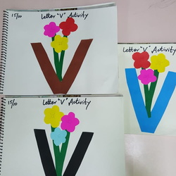 V = Vase # Nur activity